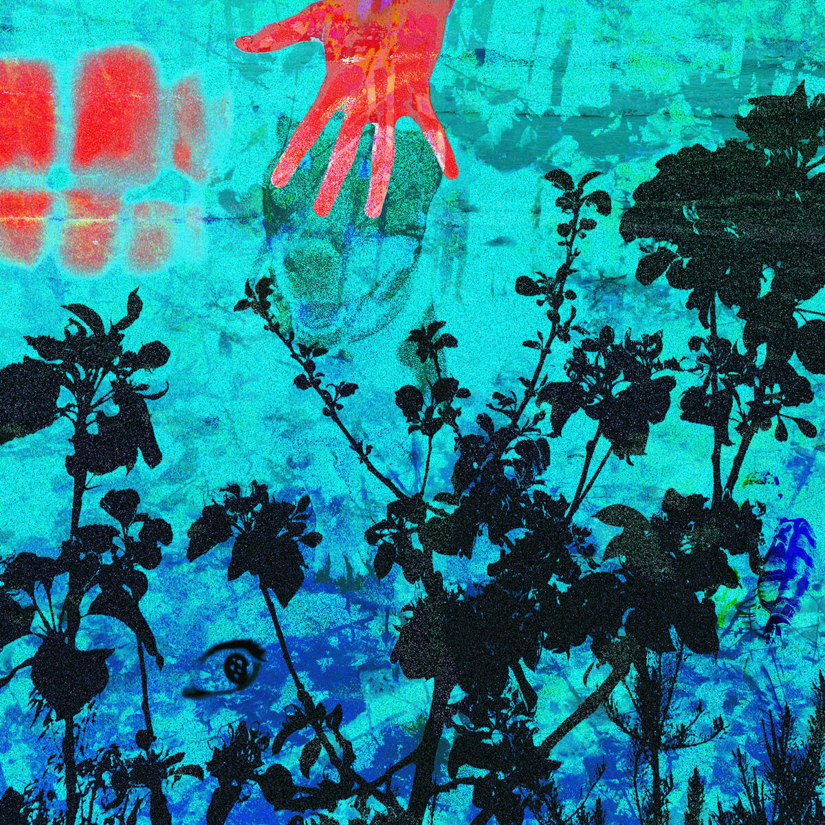 Flowers Don't Growl